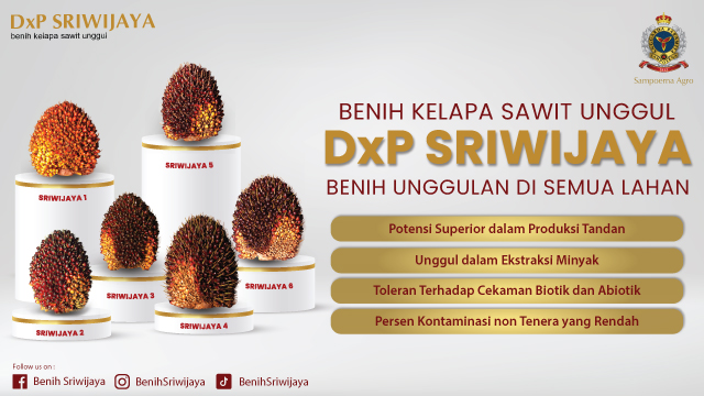 Cara-Mudah-Mendapatkan-Benih-DxP-Sriwijaya-Benih-Unggulan-di-Semua-Lahan